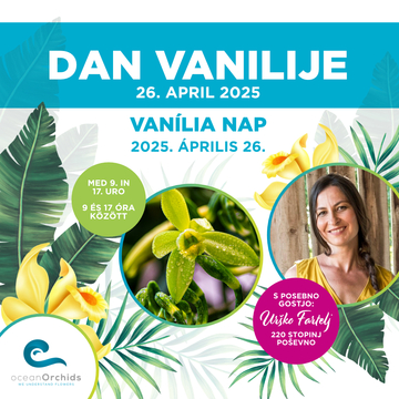 DanVanilije2025_FB-IG square post