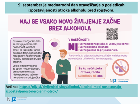 Raziskava