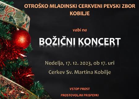 Posnetek zaslona 2023-11-27 075401.png