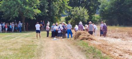 294939683_5755081354524529_27620728142025037_n